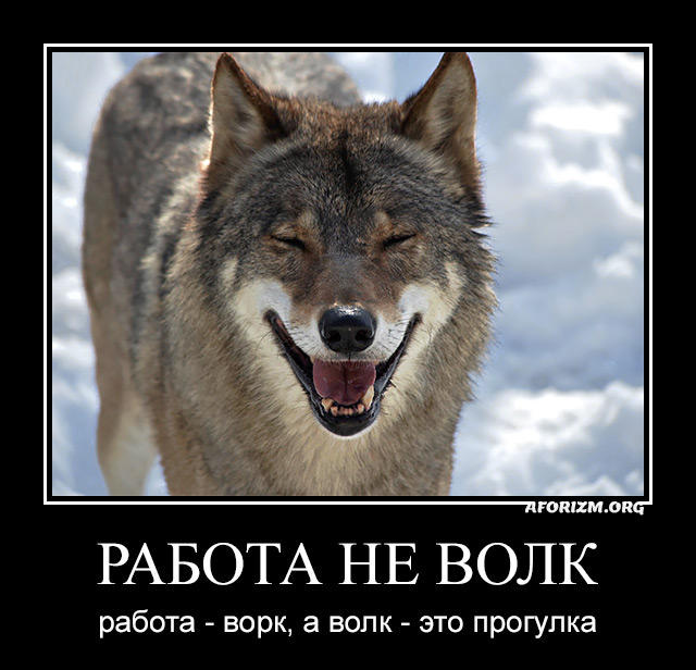 Работа не волк, работа — ворк, а волк — это прогулка.