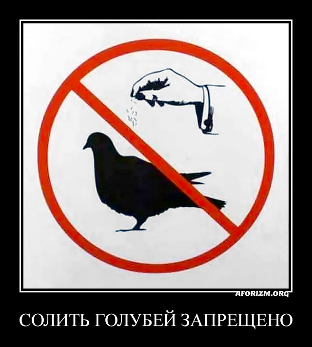 Солить голубей запрещено.