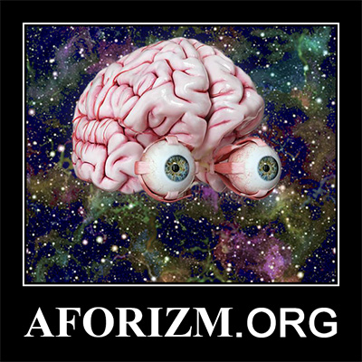 Афоризмы, приколы, статусы, цитаты, анекдоты и пословицы на AFORIZM.org