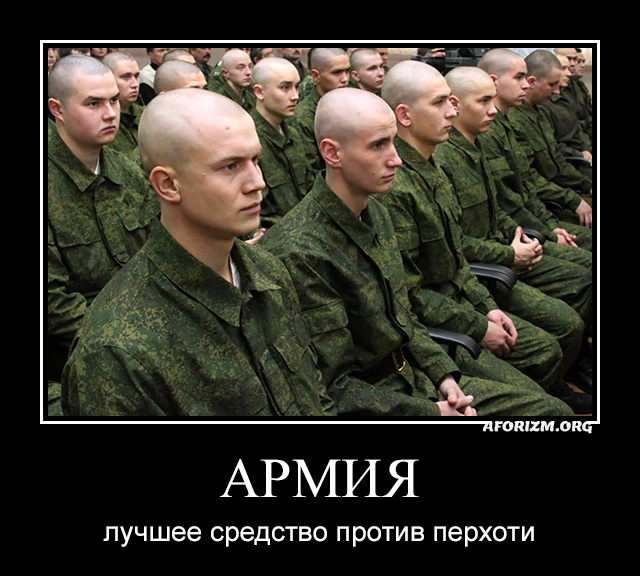 Армия — лучшее средство против перхоти. Демотиватор