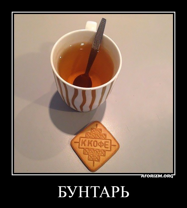 Бунтарь. 4. Демотиватор