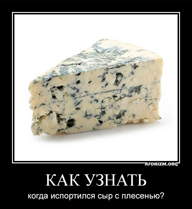 Как узнать, когда испортился сыр с плесенью?