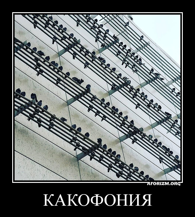Какофония.