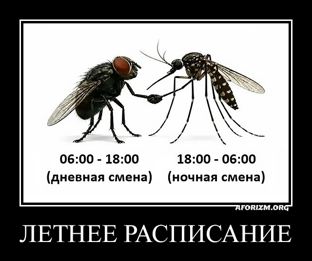 Летнее расписание. Демотиватор