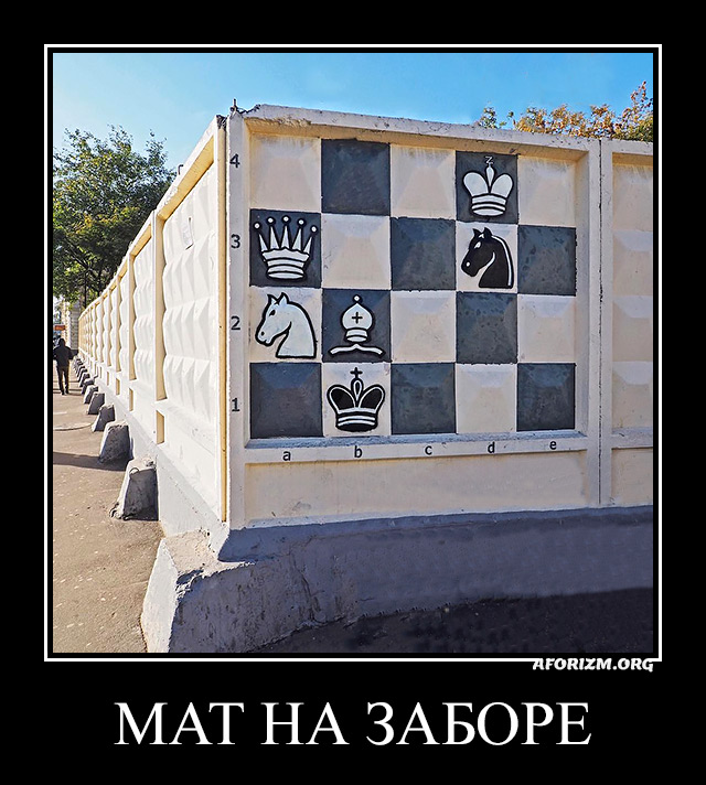Мат на заборе. Демотиватор