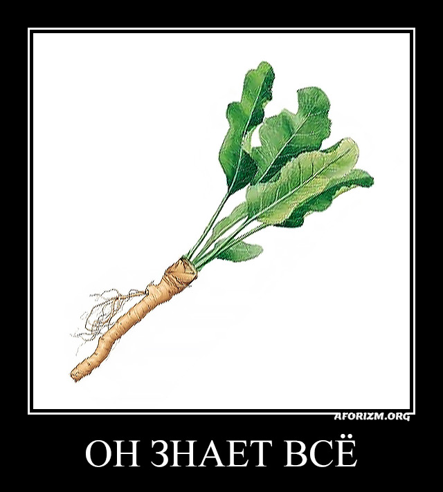 Он знает всё.