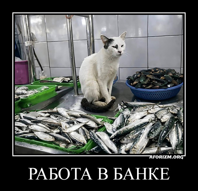 Работа в банке. Демотиватор