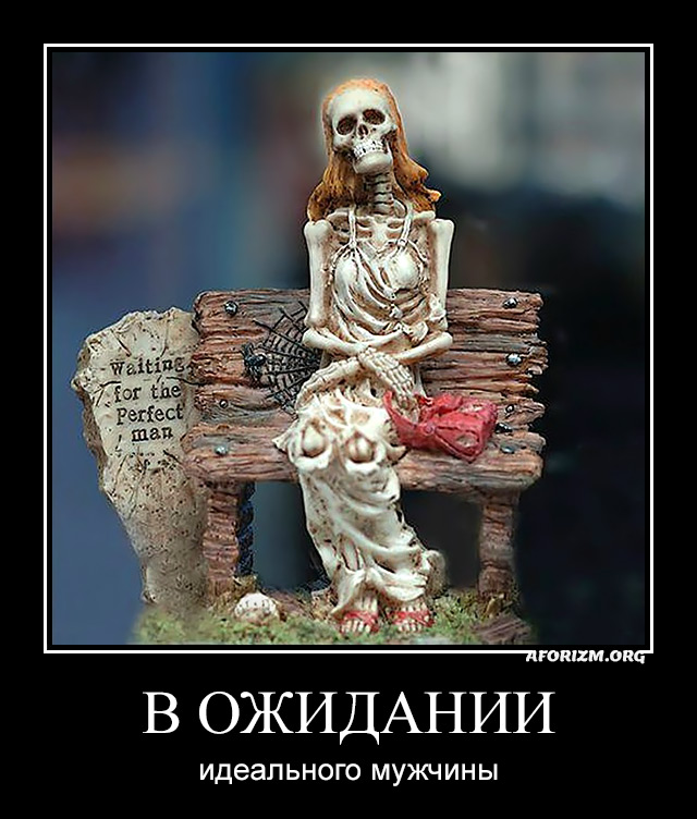 В ожидании идеального мужчины. Демотиватор