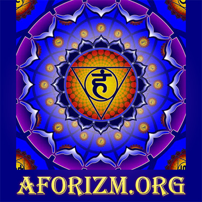 Афоризмы и цитаты, приколы, статусы, анекдоты и пословицы на aforizm.org
